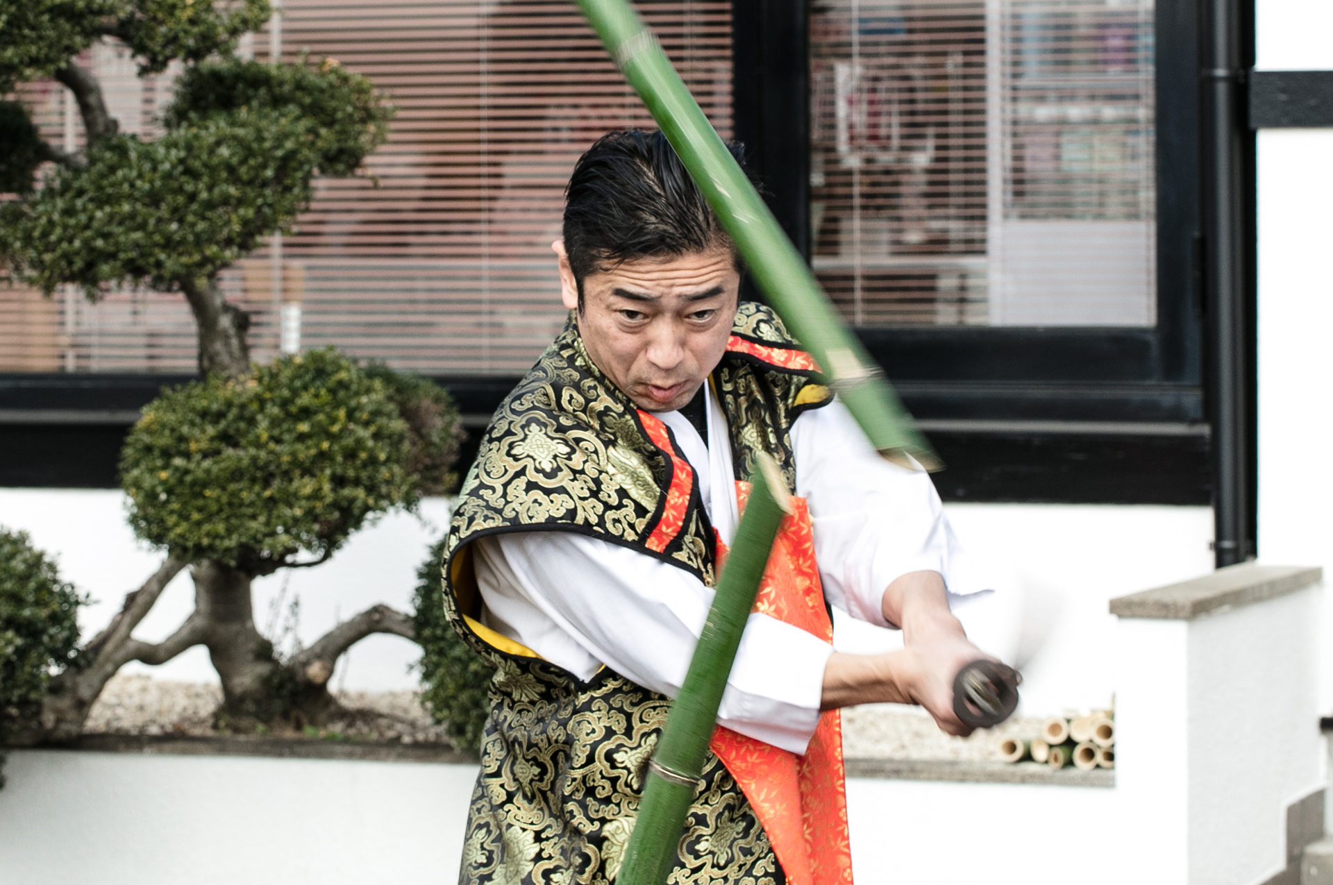 Iai Swordsmanship Demonstration,seki japan